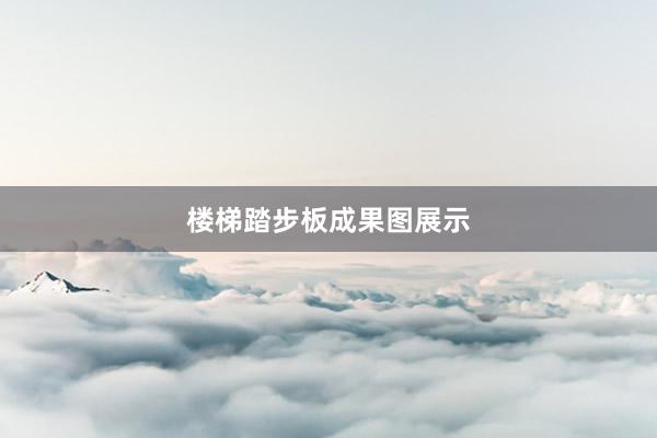 楼梯踏步板成果图展示